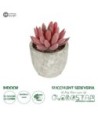 GloboStar® Artificial Garden SUCCULENT SEDEVERIA 21020 Τεχνητό Διακοσμητικό Φυτό Σεδεβέρια Μ6.5 x Π6.5 x Υ9cm